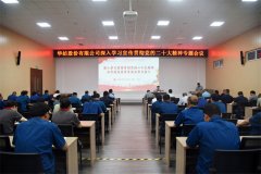 公司黨委書記、董事長(zhǎng)盛守祥為黨員干部講黨課